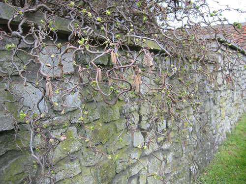 Leaning over a fence in England